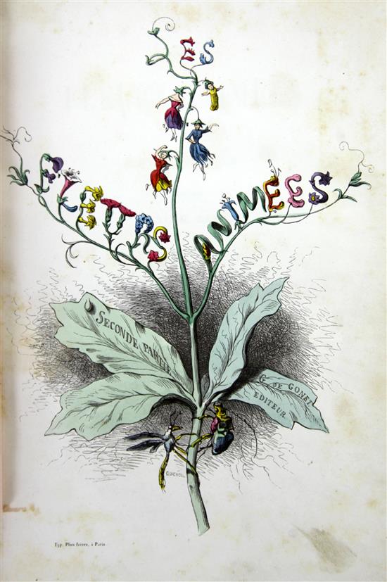 Grandville - Les Fleurs animees,